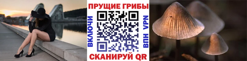 хочу наркоту  гидра рабочий сайт  Псилоцибиновые грибы ЛСД  Княгинино 